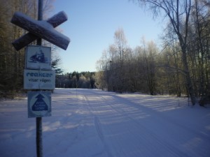 Skoterled Remmen