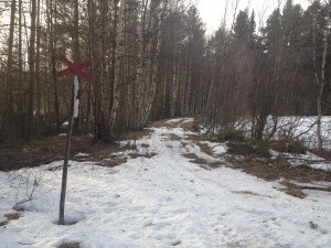 IMG_1384