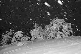 snö