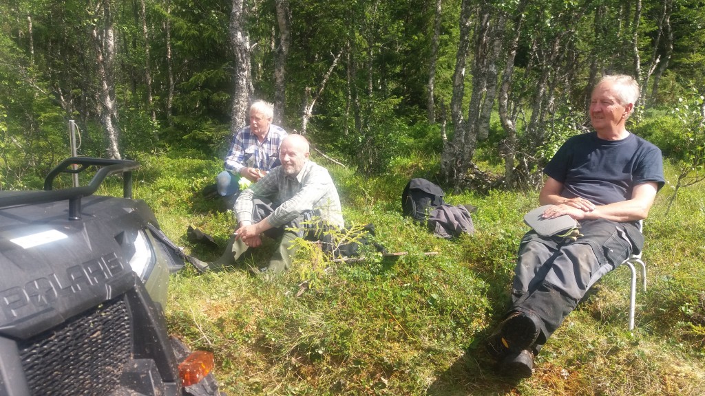 Brobygge över Hållsbäcken