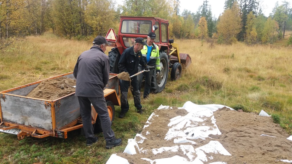 Bygge av vindskydd Östivallen