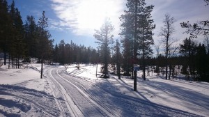 Björnåsen Snowmeet 2017