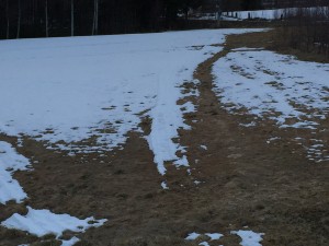 IMG_5410