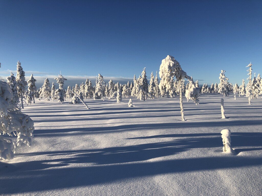 Storflötarna