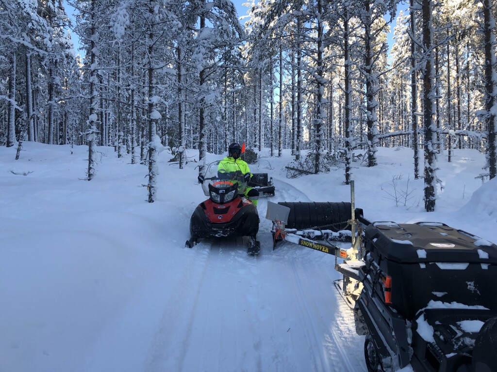 Trädkapning vid Kvistras