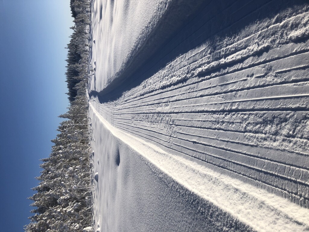 Rengsjön-Byarforsen