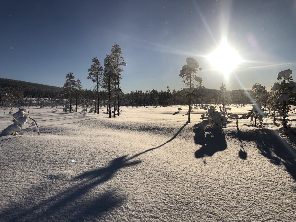 Spårning mellan Vallsjön och Hundsjön