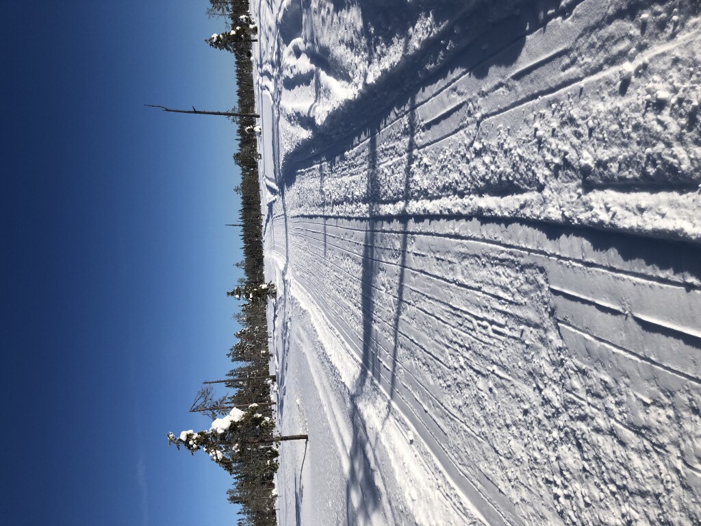 Älvros-Björnåsen