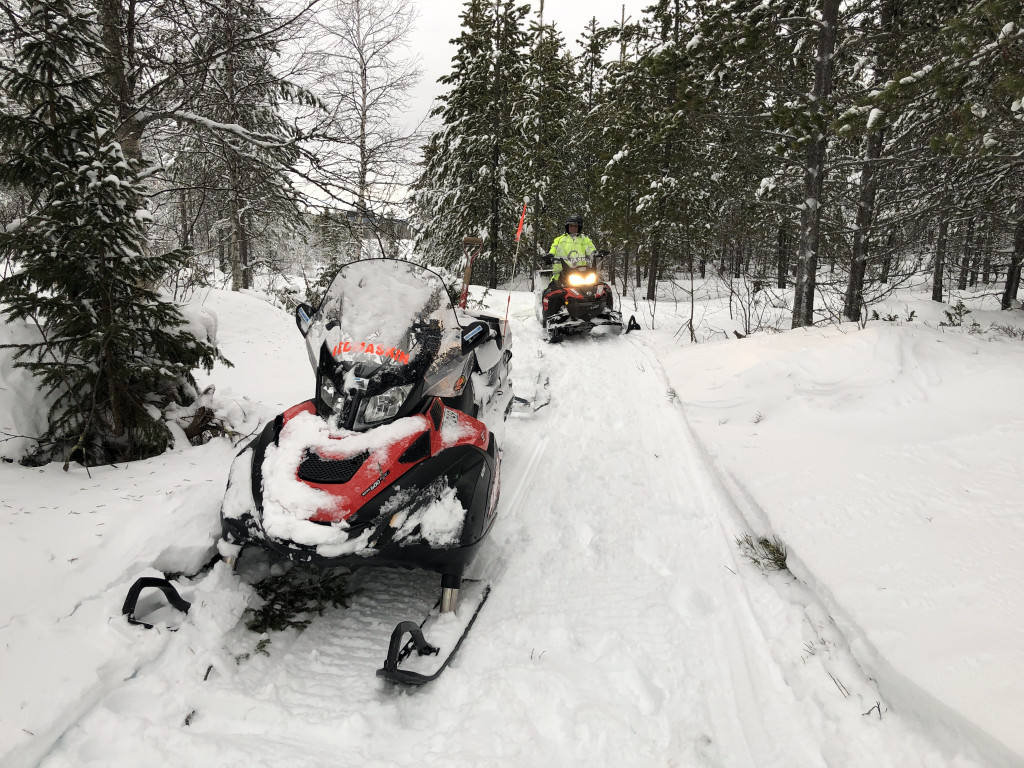 Björnåsen-Linsjön