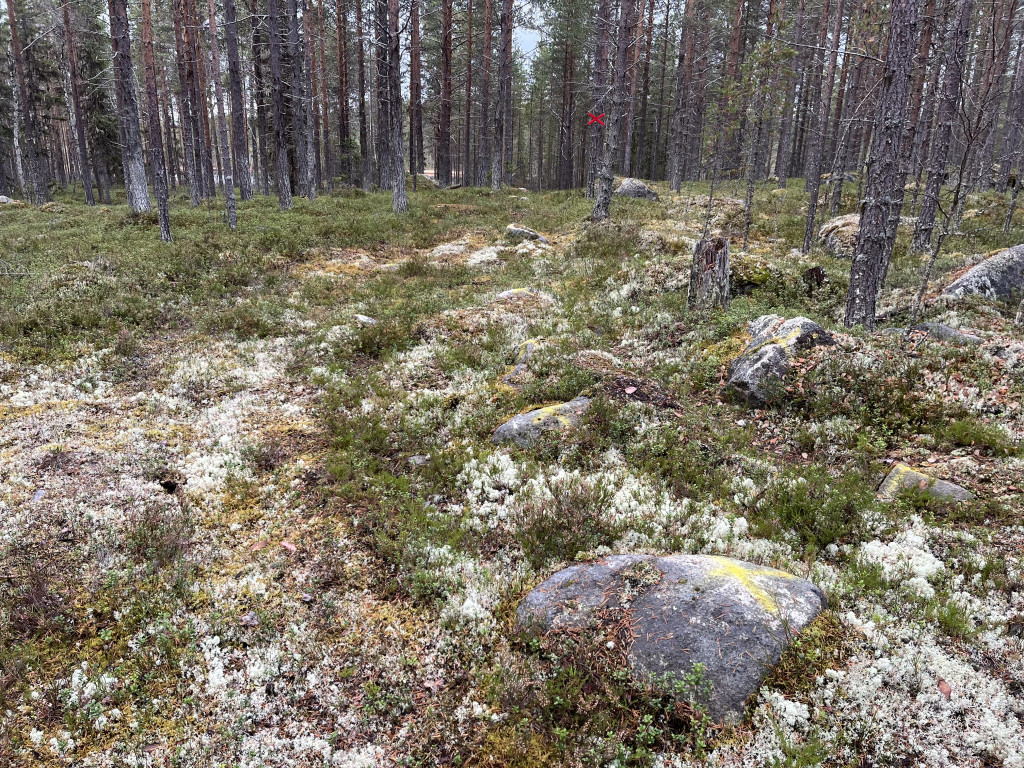 Sprängning/ grävning