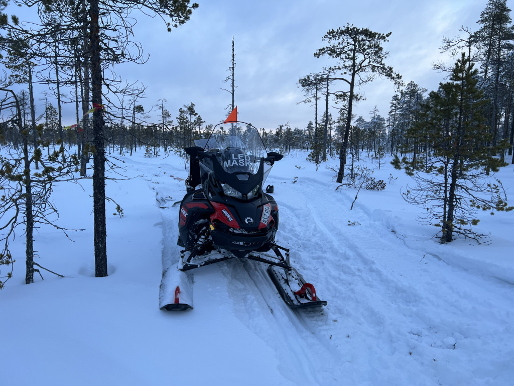 Regnsjön-Byarforsen