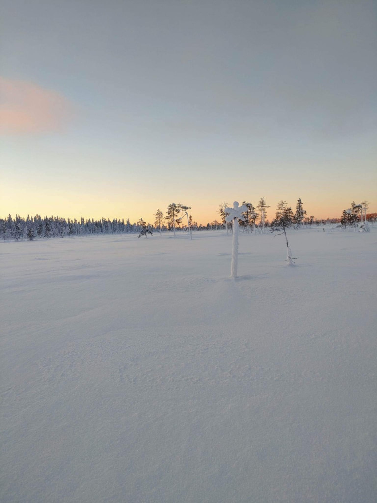 Fint uppe på höjderna