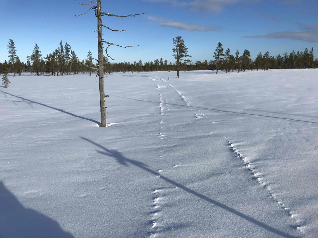 Björnåsen-Linsjön