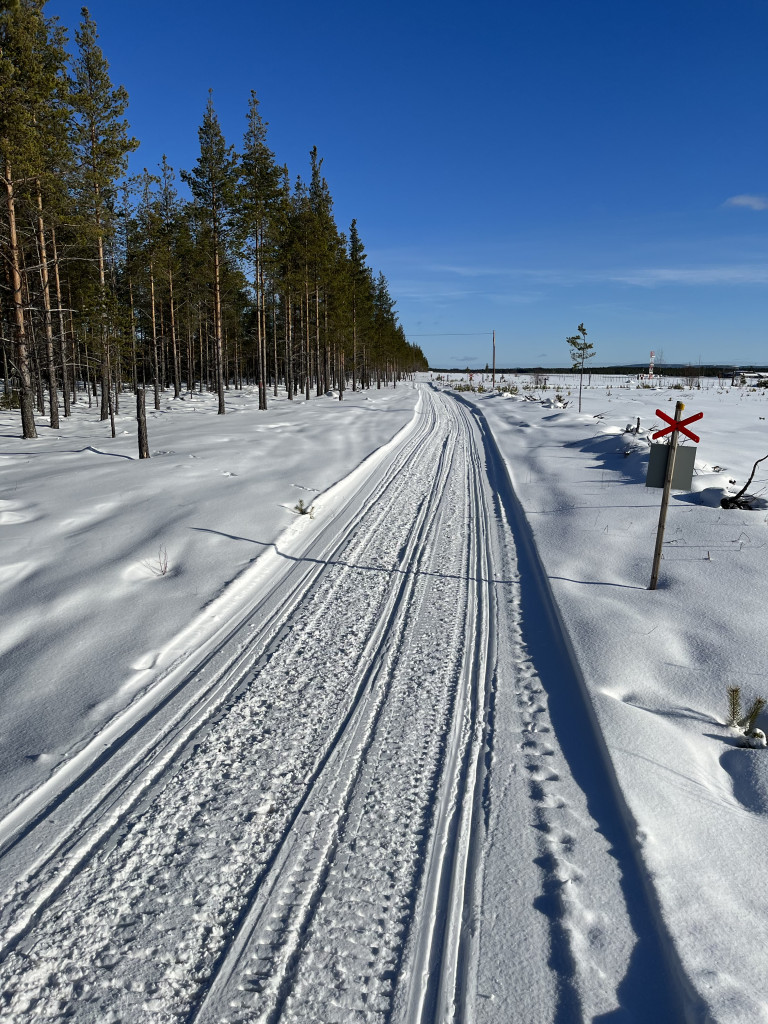 Leden vid Svegs flygplats