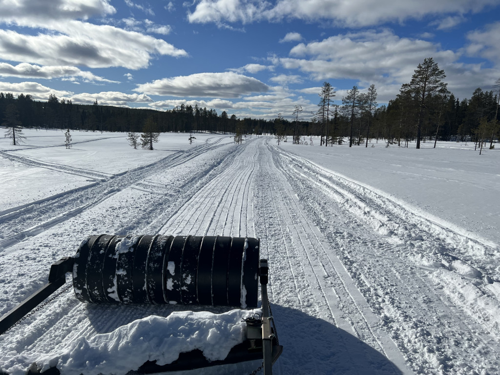 Björnåsdammen