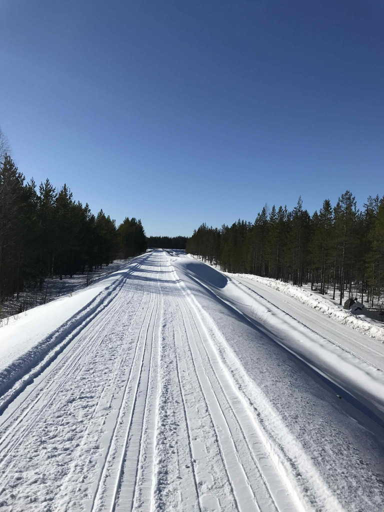 Byarforsen