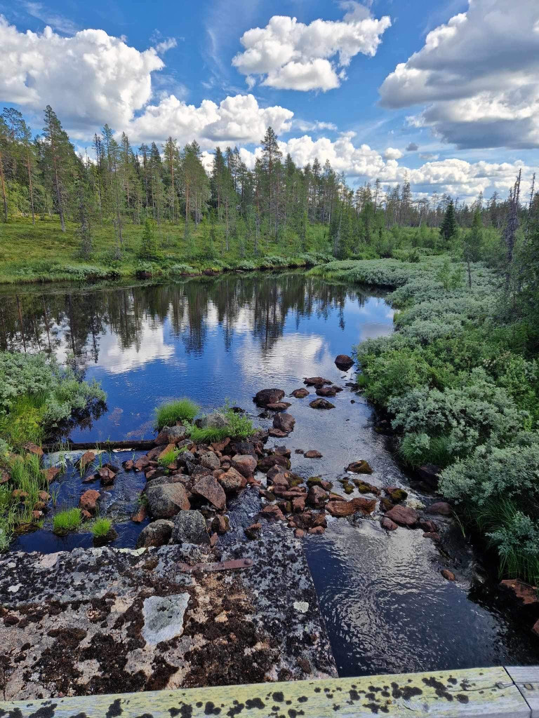 Tvärälven