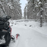 Mycket jobb med motorsåg