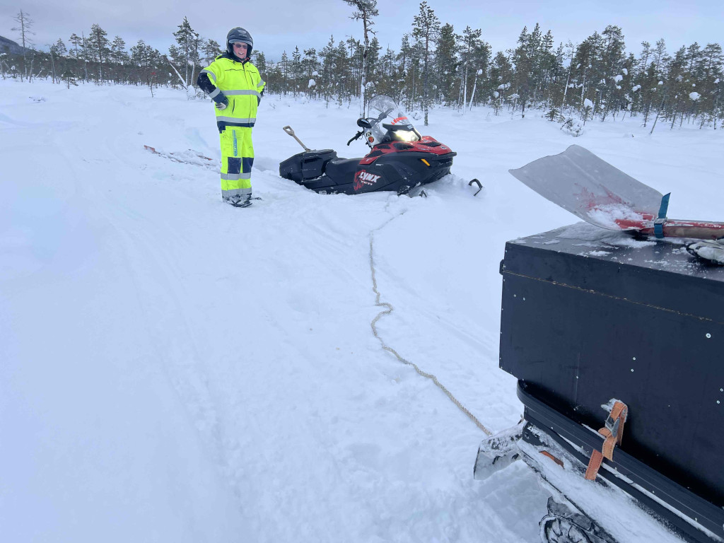 Rycklinan är guld värd