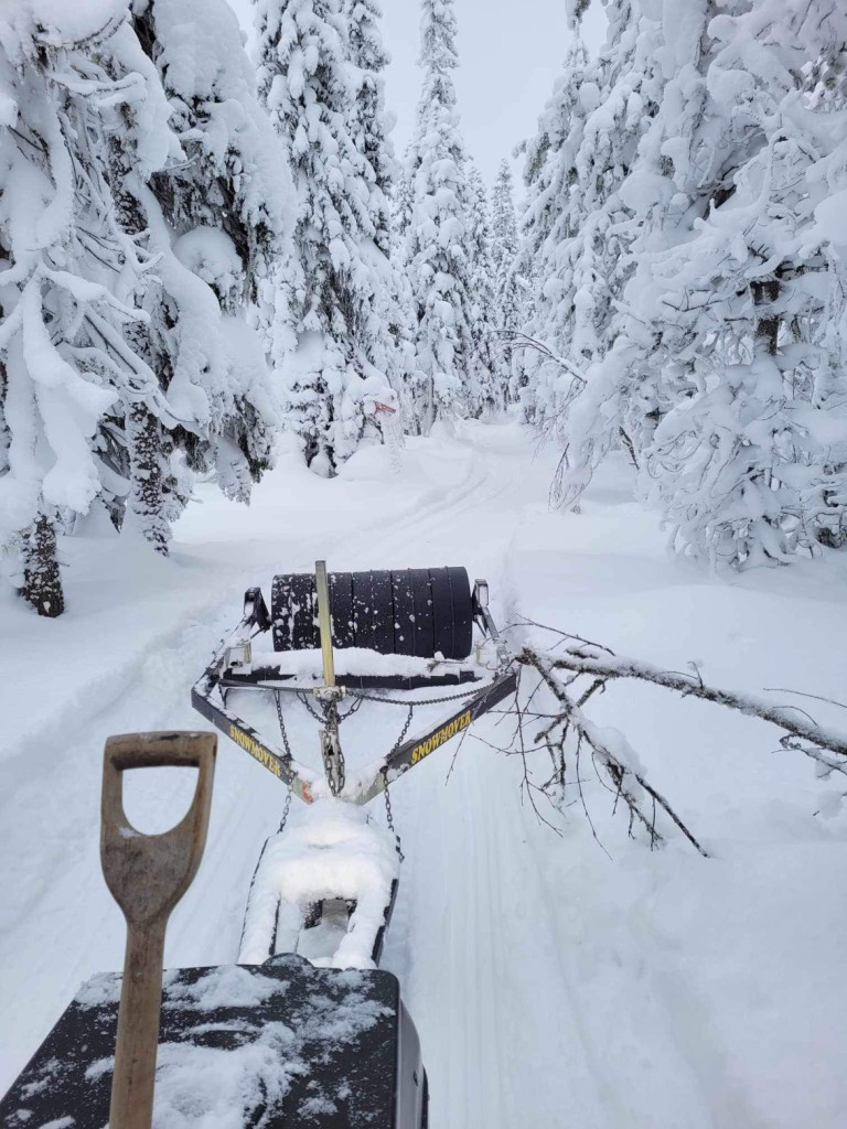 Björnåsdammen/ Linsjön 8/12