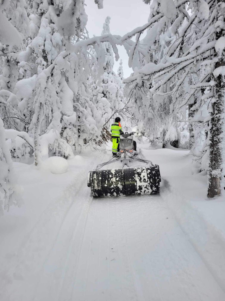 Björnåsdammen/ Linsjön 8/12