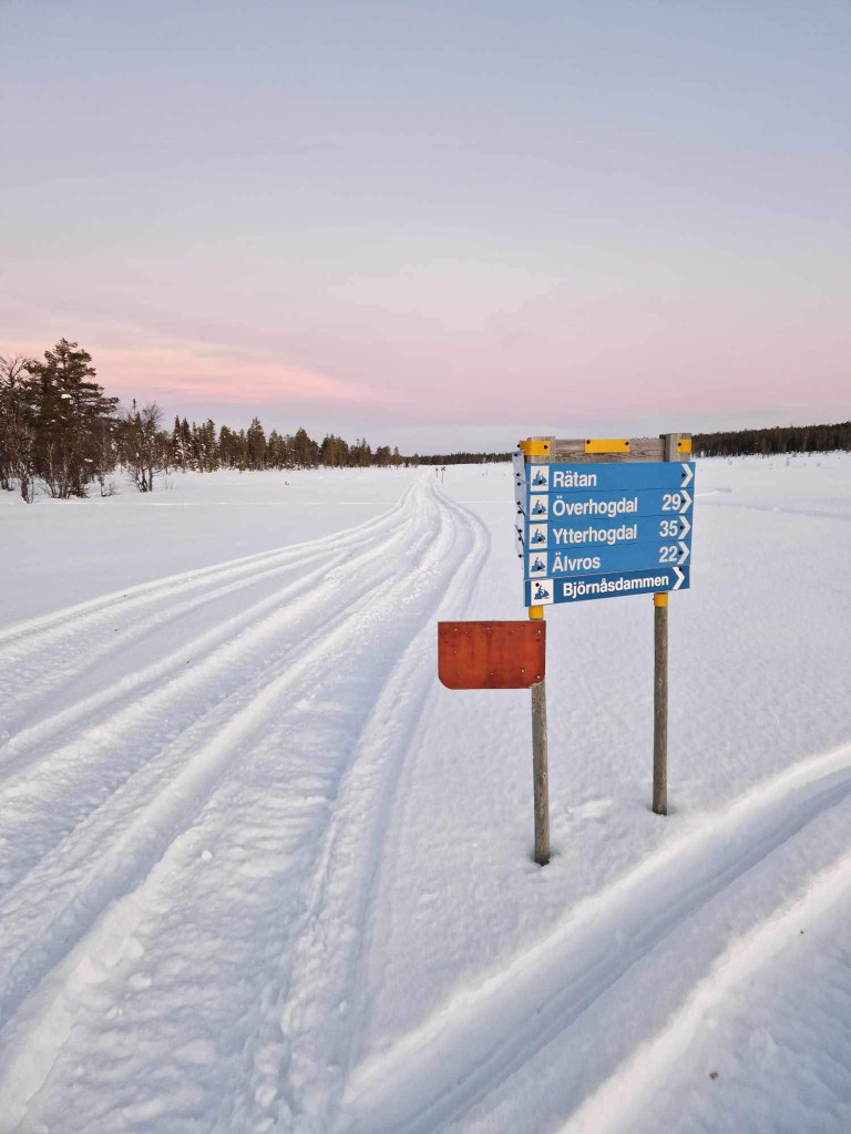 Björnåsdammen