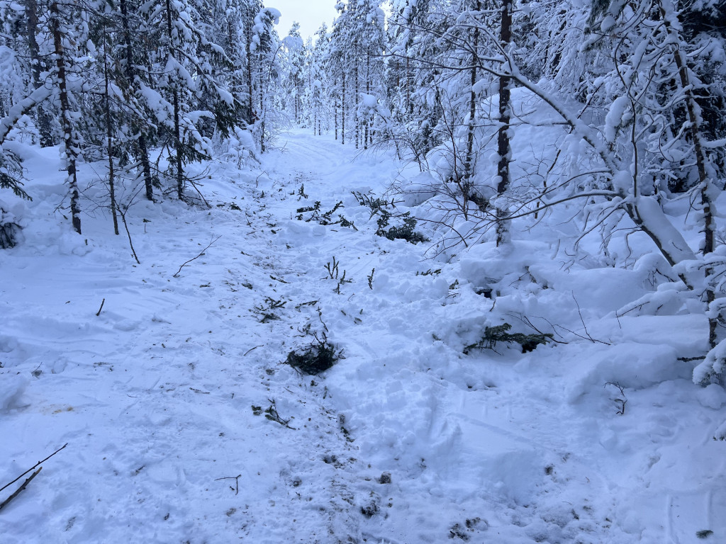 Blöthål Råbäcken