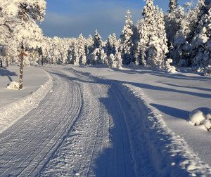 Målingen-Ängersjö 7/1