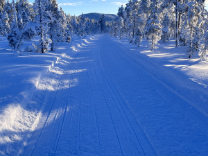 Målingen-Ängersjö 7/1