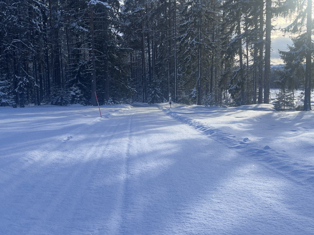 Nysnö och nysladdat 20240325