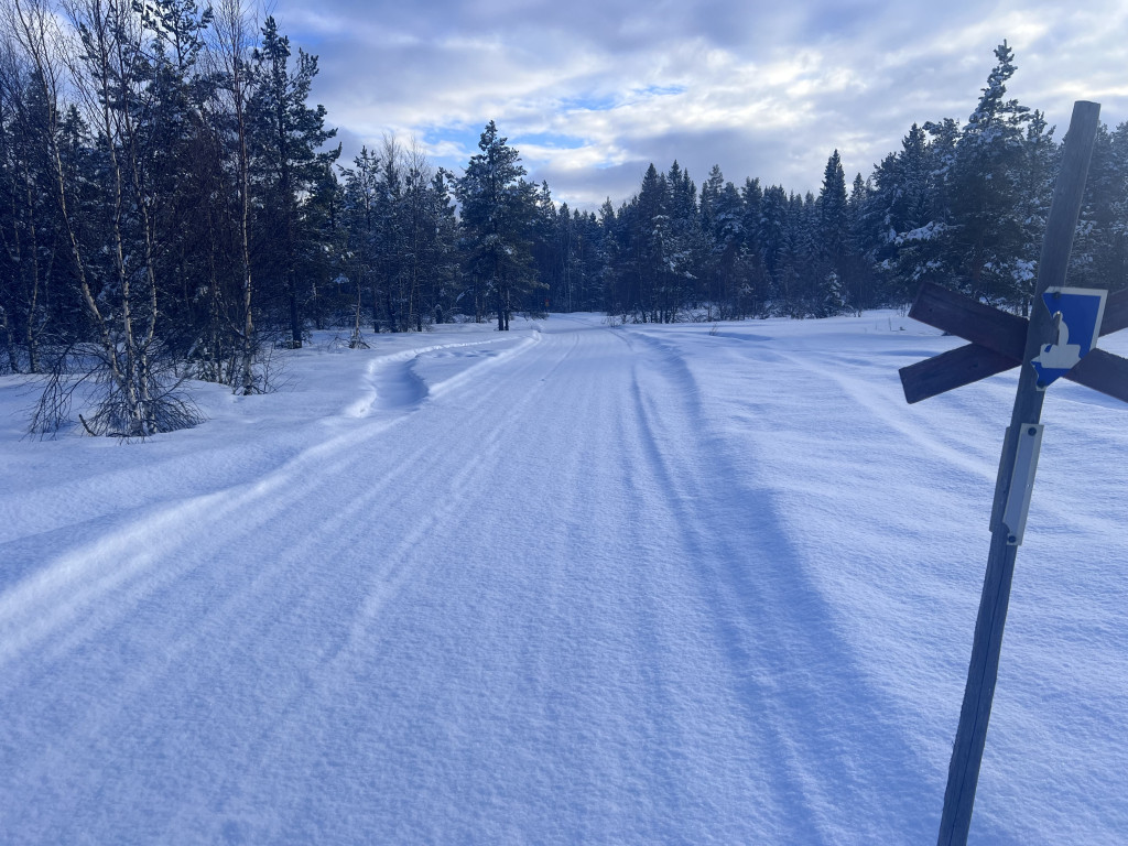 Nysnö och nysladdat 20240325