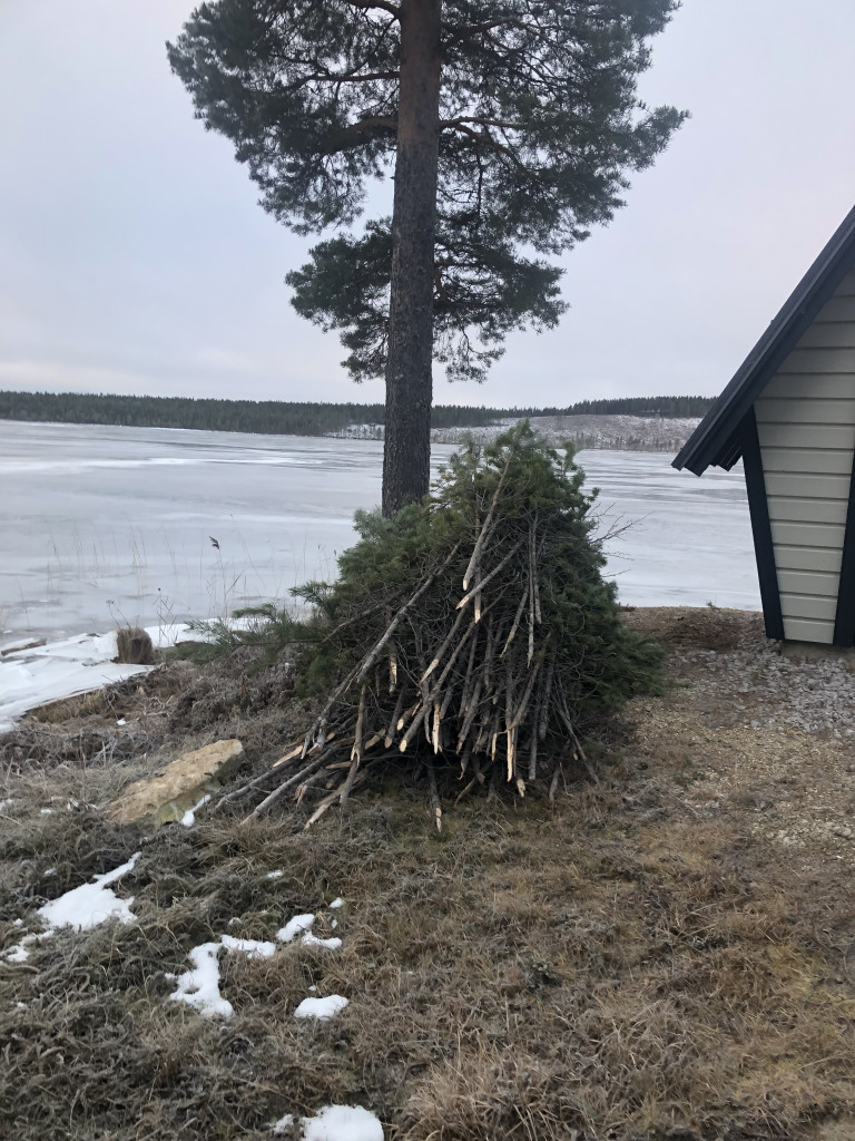 Ruskor klara att sätta ut