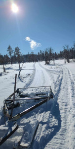 Sladdat Sveg-Björnåsen-Enskäla 20250313