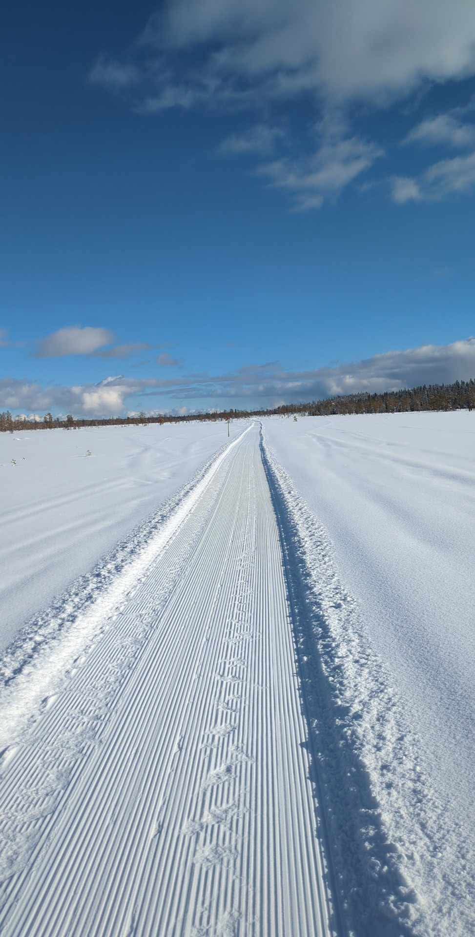 Sladdat Sveg-Björnåsen-Enskäla 20250313