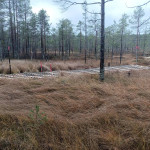 Brobygge mellan Skidstadion-Vallsjön