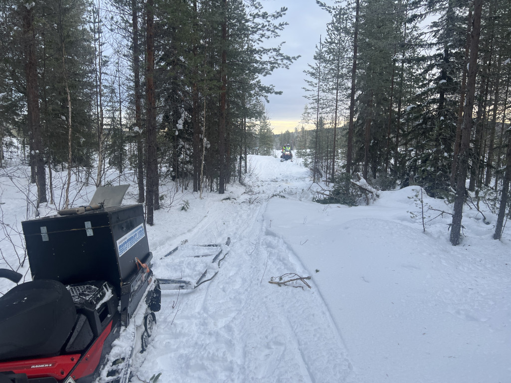 Vindfällen 18/1