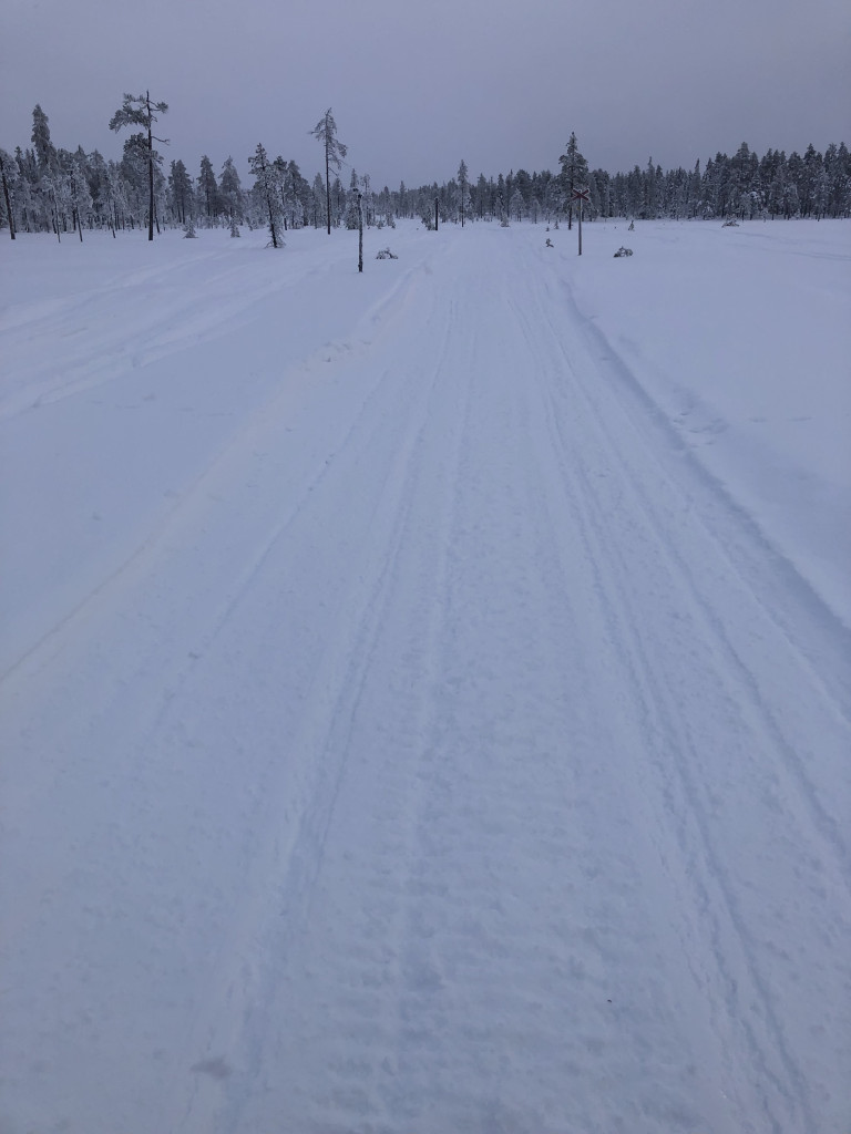 Älvros-Björnåsen 20260123