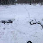 Älvros-Björnåsen 20260123