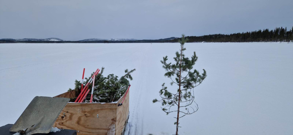 Ruskning Målingen 20260125