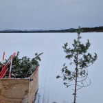 Ruskning Målingen 20260125