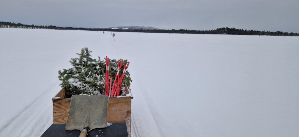 Ruskning Målingen 20260125