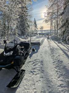 23bea87b60cae37d4ed12e49f8d462b8