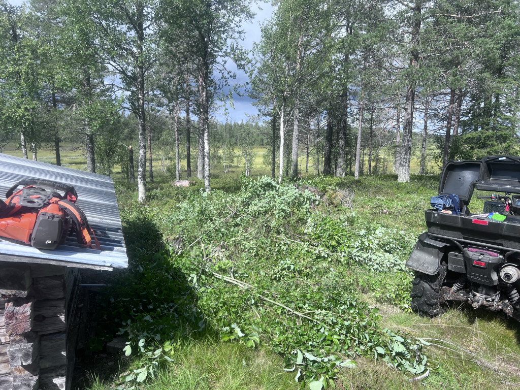 Röjning