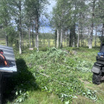 Röjning