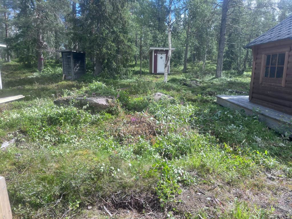 Röjning
