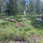 Röjning
