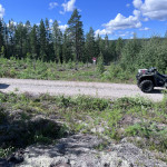 Röjning