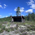 Röjning