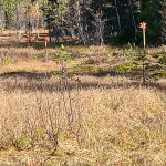 Omdragning på Herrökölen