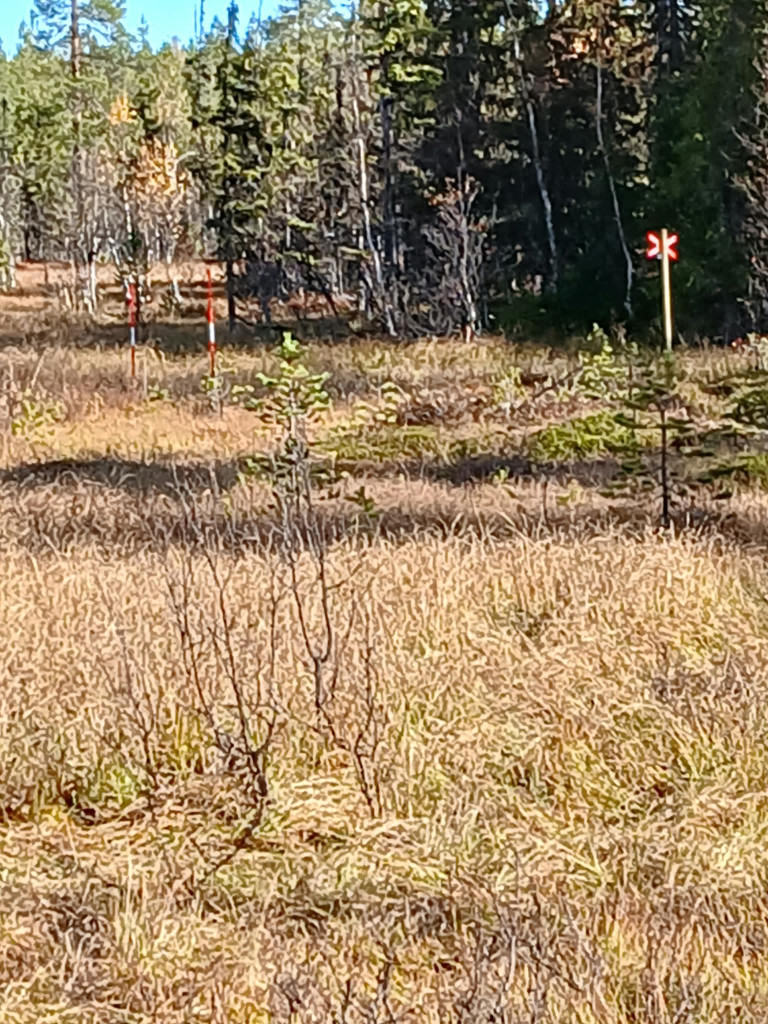 Omdragning på Herrökölen